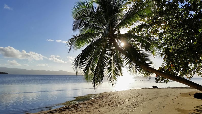 Island in the Pacific